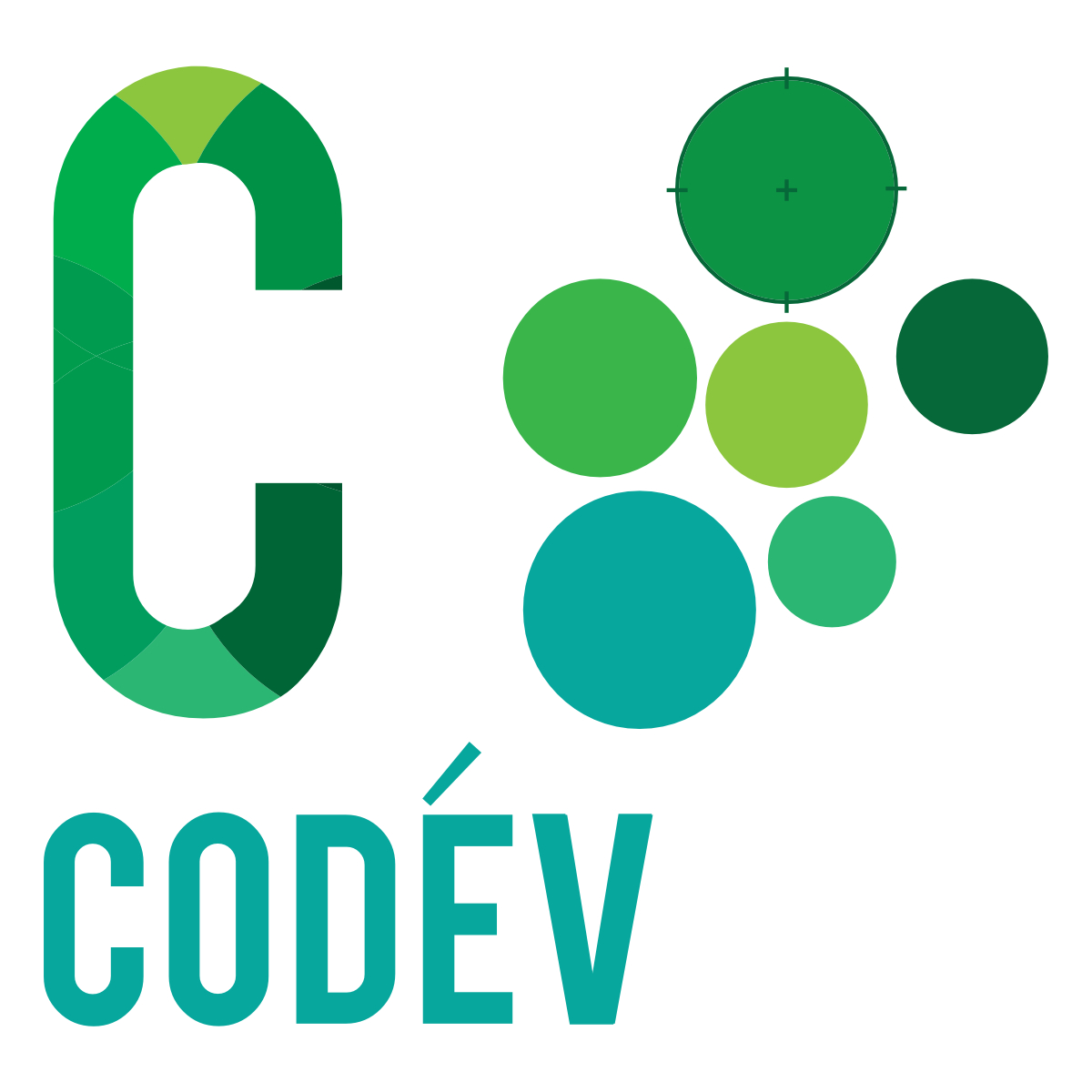 CODEVE INDUSTRIES